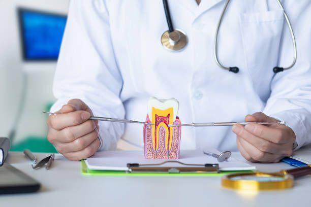 Best Emergency Dental Care for Abscessed Tooth in East Cleveland, TN